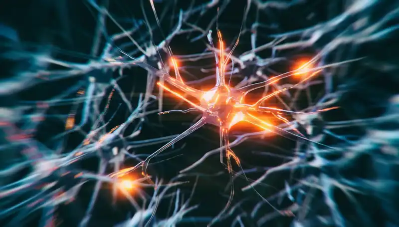 Alzheimer Vakaları Artıyor: Nedenleri ve Çözüm Yolları
