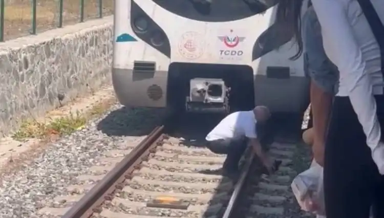Marmaray'da Kediyi Kurtaran Makinist: Hayvanseverlik Örneği
