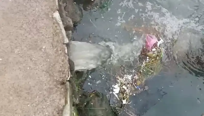 Çınarcık Belediyesi'ne 1,3 Milyon TL'lik Cezanın Ardındaki Sebepler Neler?