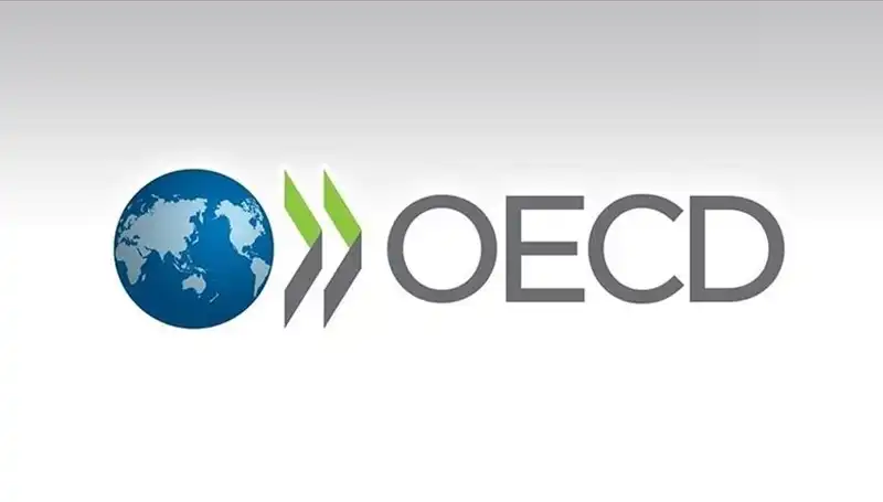 OECD, Türkiye için 2024 Büyüme Tahminini Revize Etti: Umut Verici İşaretler!