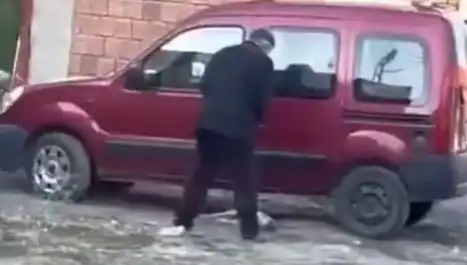 Sokak Ortasında Köpeğe Şiddet: Hayvan Hakları Savunucuları Harekte Geçti