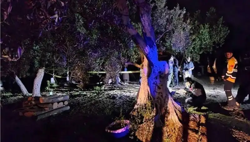 Çiftlikteki Vahşetin Ardından Gelen Şok Tutuklama
