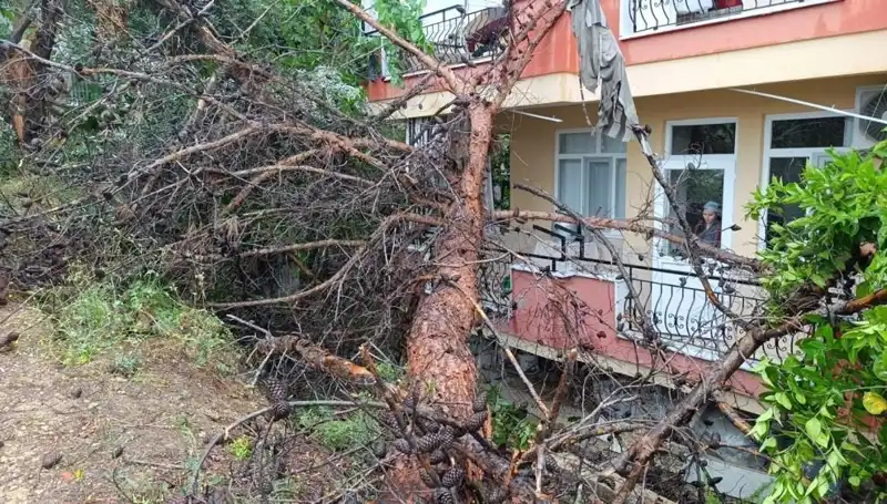 Yağışlar, Eski Binayı Yıkıp Geçti: Dram Sadece Başladı