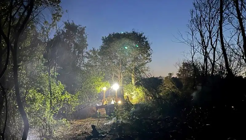 Edirne Ormanı'ndaki Yangın Kontrol Altına Alındı: Ekipler Seferber Oldu