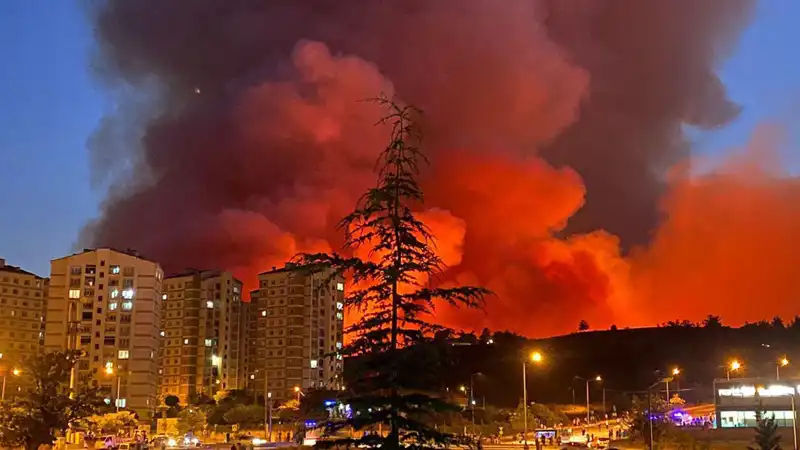 Bursa'da Yangın Alarmları: Şehirde Yaşanan Korkutucu Gelişmeler
