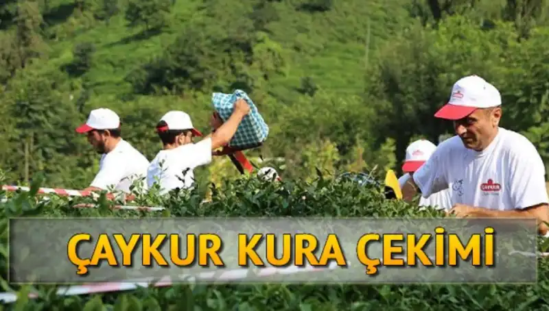 Çaykur Canlı Kura Sayfası: İsim Listenizi Hızla Öğrenmenin Yolu