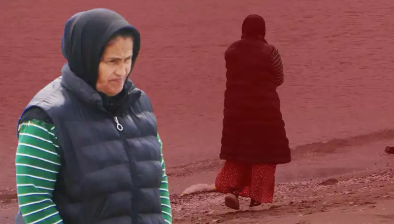 132 Gündür Sahilde Bekleyen Kedi, Sahiplerini Bekliyor