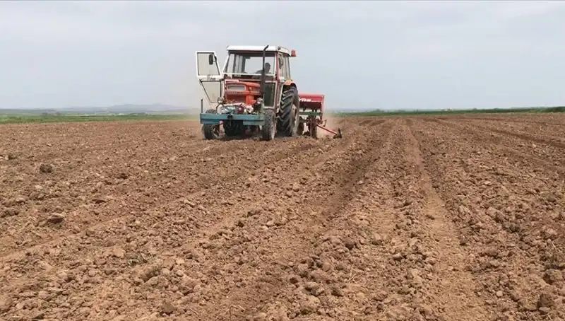 Son 35 Yılın En Kurak Mart Ayı: Yağışlar Tarihi Düşük Seviye