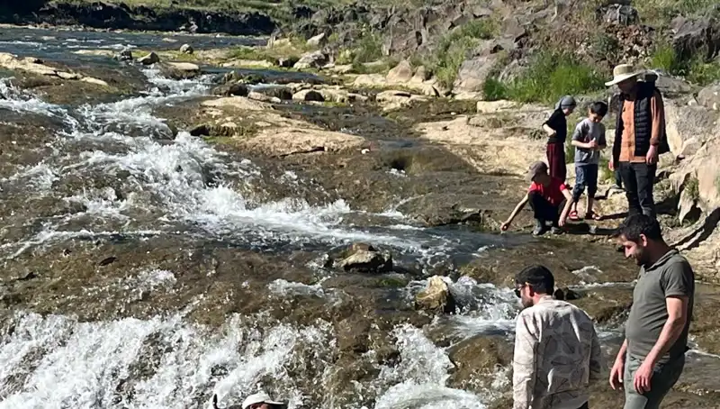 İnci Kefali Göçü: Doğanın Mucizesi için Binlerce Turist Bölgeye Akın Etti