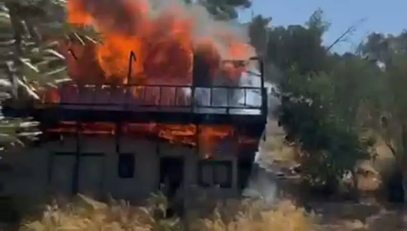 Bodrum'da Yangın Panik Yaratırken Ekipler Seferber Oldu