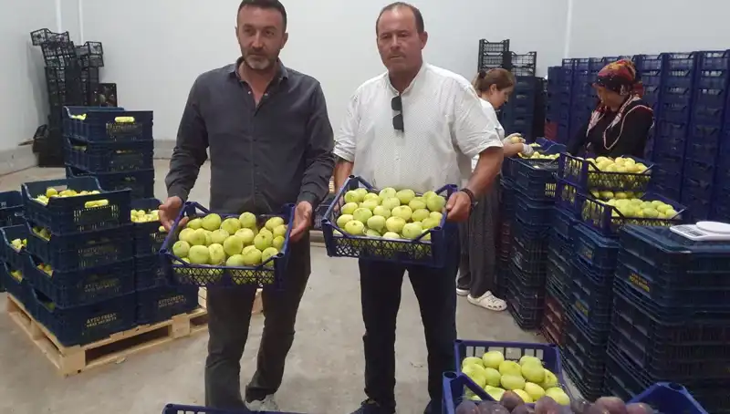 Mersinli Çiftçiye Yeni Fırsatlar: Tanesi 20 TL'den İhraç Edilen Ürünler