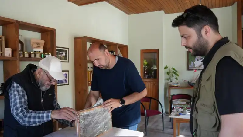 Hem Şifa Hem de Zehir: Tehlikeli İyileştirici Bitkiyi Sadece Bir Kaşık Tüketin!
