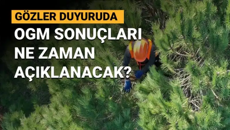 OGM 3 Bin 477 Sözleşmeli Personel Alımında Son Durum Nedir?