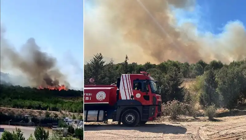 Gebze'de Korkutan Orman Yangını! İtfaiye Ekipleri Seferber Oldu