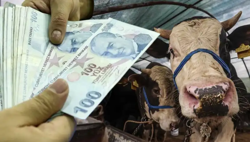 Emekli ve Memur Maaşları Kurban Bayramı’nda Ne Zaman Yatacak?