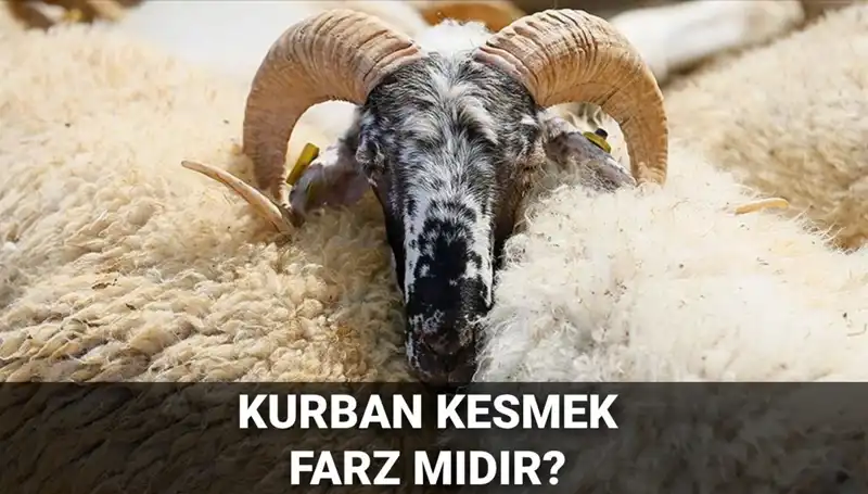 Kurban Kesmenin Diyanet’e Göre Hükmü ve Şartları Neler?