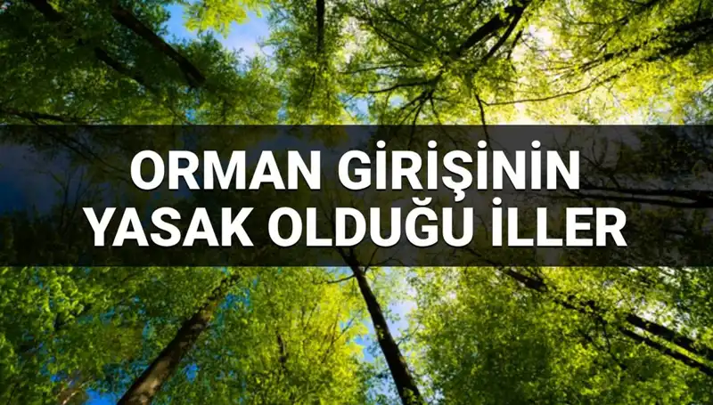 2025’te Ormana Girmek Yasaklanan İller: Bunları Bilmelisiniz!