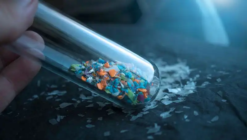 Mikroplastikler İnsan Beynine Kadar Sızdı: Sağlığımıza Etkileri Ne Olacak?